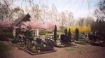 Dexheim Cemetery