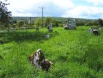 Drumlumman GraveyardDrumlumman GraveyardDrumlumman Graveyard County Cavan, Ireland