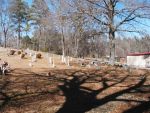 Clay Cemetery Clay, Jefferson County, Alabama