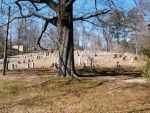 Clay Cemetery Clay, Jefferson County, Alabama