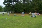 Hill Cemetery Morgan County, Alabama