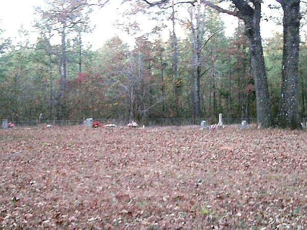 Dillard Cemetery Amity, Clark County, Arkansas