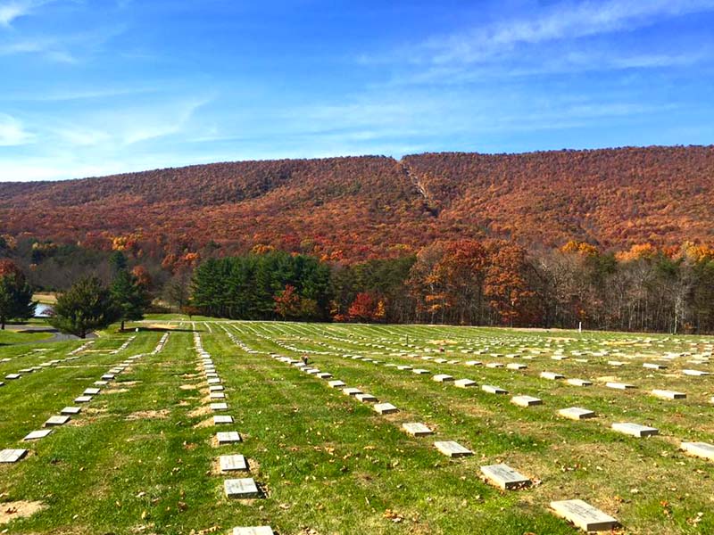 eastern shore veterans cemetery