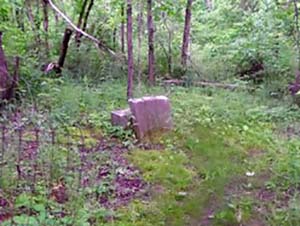 Puellmann-Gaehle Cemetery, Wildwood, Missouri - Burial Records