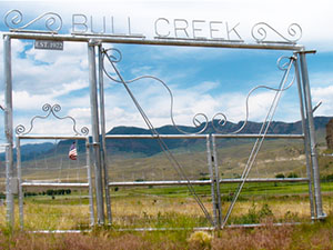 bull creek cemetery