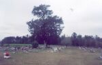 Lott (Georgetown) Cemetery Mobile County, Alabama