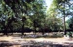 Satsuma Cemetery Mobile County, Alabama