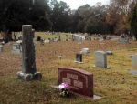 Jones Cemetery Amity, Clark County, Arkansas