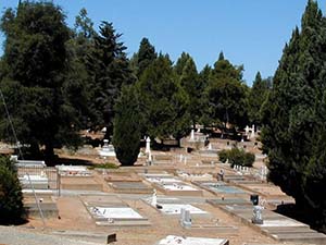 jackson city cemetery
