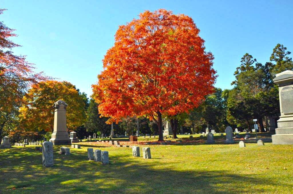 oak lawn cemetery fairfield connecticut