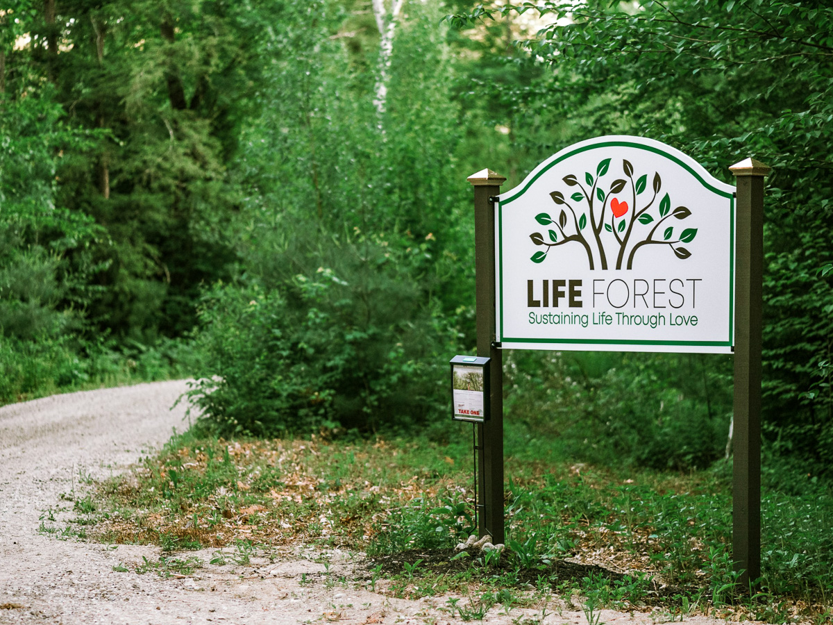 life forest cemetery, hillsboro, nh