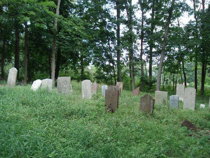davis cemetery coram new york